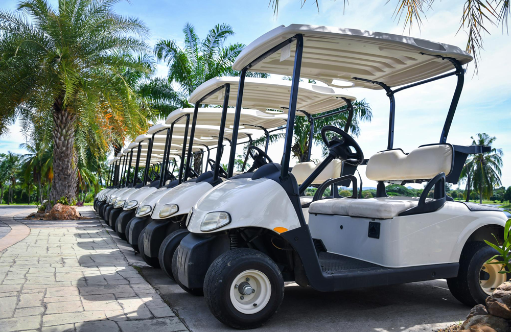 A Lineup of Golf Carts